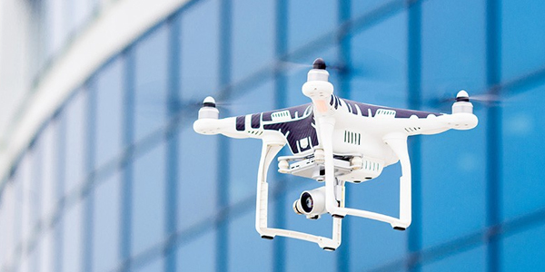 aerial surveys